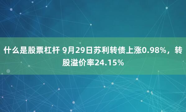 什么是股票杠杆 9月29日苏利转债上涨0.98%,转股溢价率24.15%